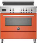 Превью картинка Центр варочный Bertazzoni PRO95I1EART #1