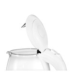 Превью картинка Чайник Evelux EWK 0903 G #5