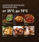 Превью картинка Сушилка для овощей и фруктов Weissgauff WDH 110 Digital Dry Pro #4