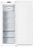 Превью картинка Камера морозильная Haier HF-284WG #3