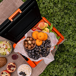 Превью картинка Холодильник Alpicool Холодильник автомобильный ALPICOOL CL30 (12/24) #2