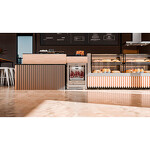 Превью картинка Холодильник для вызревания мяса Холодильник для сухого вызревания мяса Meyvel MM-45SR #6